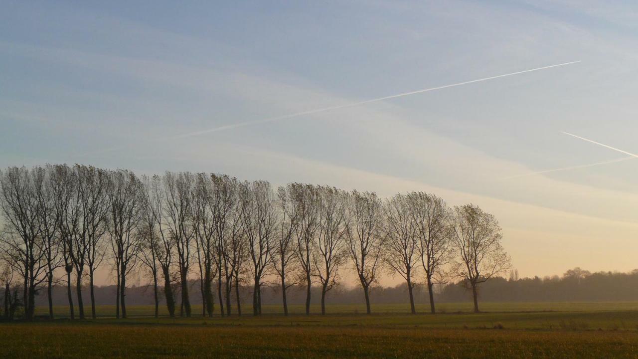 Les Houx De Mathieu Villa Engis Luaran gambar